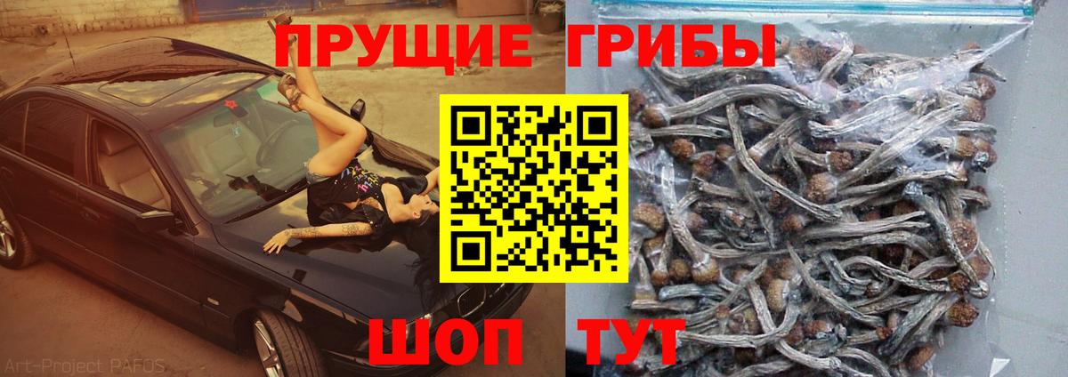 Псилоцибиновые грибы Psilocybine cubensis  Галлюциногенные грибы Psilocybe  Вход с VPN  Партизанск 